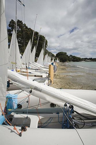 _MG_2186.jpg
