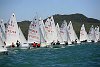 The 420 World Championship 2007 held by the Takapuna Boating Club, Auckland, New Zealand, in January 2007.