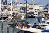 America's Cup 2003: A huge spectator fleet farewells Team New Zealand and Alinghi Swiss Challenge as they head to the racecourse on the first day of competition.