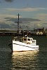 A local fishing  boat in the evening twilight on Tauranga Harbour.