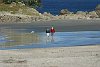 A peaceful stroll along Mt Maunganui Beach.