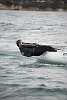 Ben Ainslie/ Triple Olympian <br>Commercial shoot for UK  client: <br>Location: Waitemata Harbour, Auckland, New Zealand<br>�Paul Todd/outsideimages.co.nz<br>