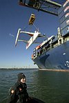 Ellen Macarthur and Trimaran B&Q � Asia Tour 2006 � Loading of B&Q onto the CMA-CGM container ship BIZET<br>Southampton (uk), the 9th of february 2006