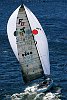 New Farr 36  &quotInner Circle Rum&quot pops up a gennaker in 15 to 20knts off Sydney heads on a glorious spring day in Australia.<br><br> Sails by Quantum<br>