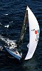 New Farr 36  &quotInner Circle Rum&quot pops up a gennaker in 15 to 20knts off Sydney heads on a glorious spring day in Australia.<br><br> Sails by Quantum<br>