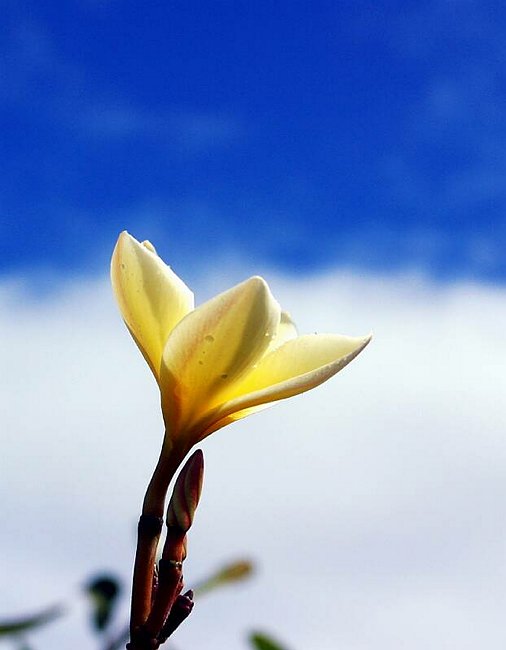 �www.outsideimages.co.nz