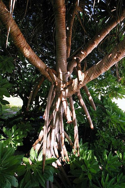 �www.outsideimages.co.nz