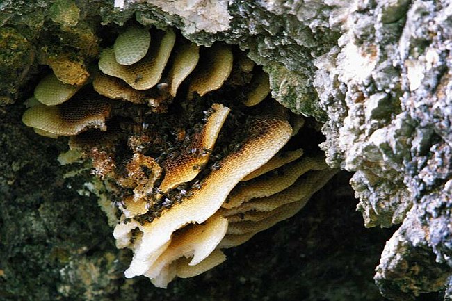 �www.outsideimages.co.nz