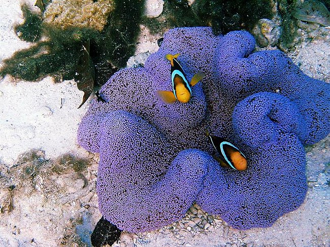 �www.outsideimages.co.nz