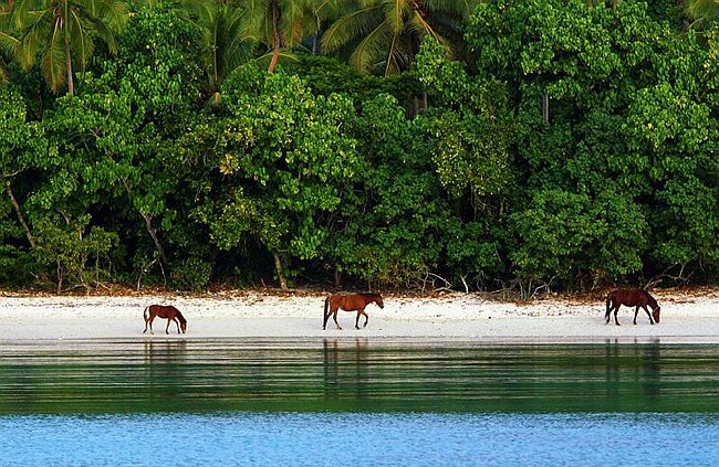 �www.outsideimages.co.nz
