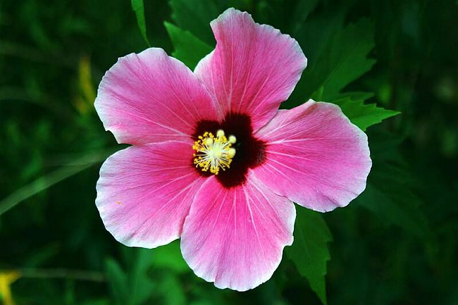 �www.outsideimages.co.nz