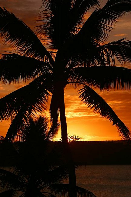 �www.outsideimages.co.nz