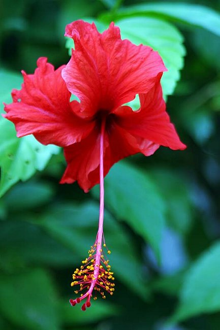 �www.outsideimages.co.nz