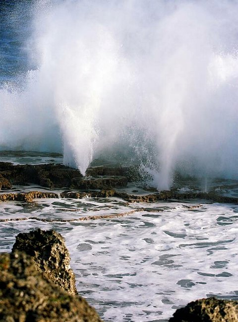 �www.outsideimages.co.nz