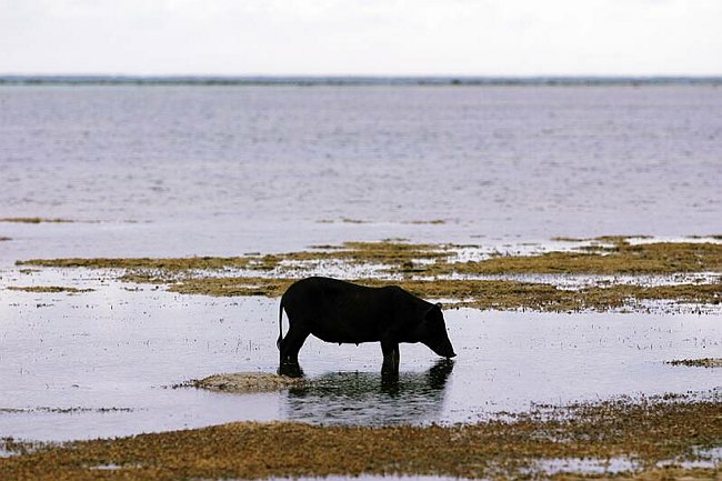 �www.outsideimages.co.nz
