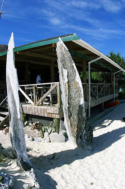 �www.outsideimages.co.nz