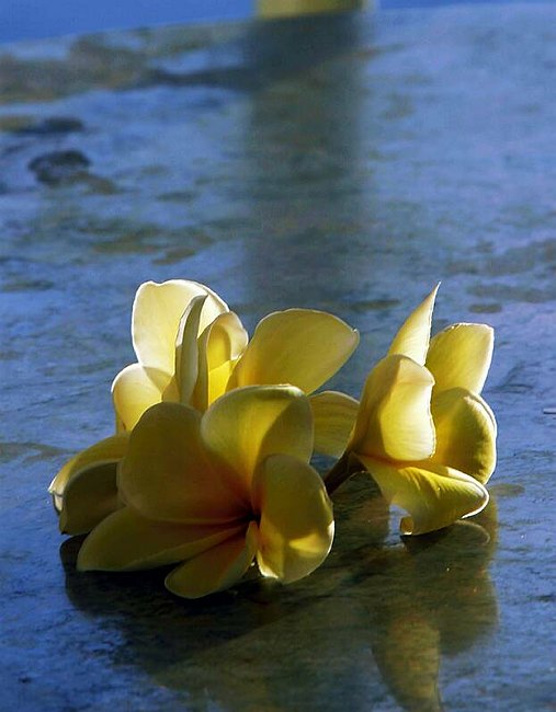 �www.outsideimages.co.nz