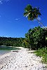 The Kingdom Of Tonga in the South Pacfic <br>The beach at Port Mourelle 