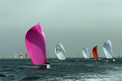 _MG_8714.jpg