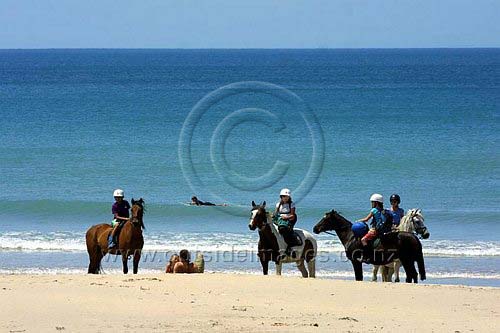 HorsesBeach.jpg