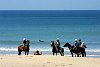 HorsesBeach.jpg