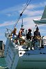 Owen/Clarke high performance 65 footer preforms sea trials in the Waitemata Harbour on a hot January day.<br>Auckland - New Zealand<br>Merfyn Owen at the helm