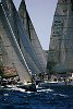 6E2G4951.JPG