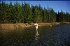 Fresh water fly fishing for trout in a New Zealand lake