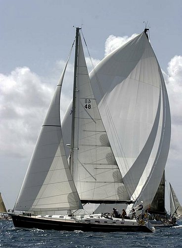 IMG_0100.jpg
