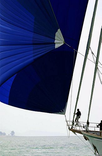 DSC_0877.JPG
