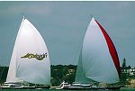 The Millenium Cup Regatta<br>Auckland, to Kawau Island race, New Zealand<br>Destination Fox Harb'r 41.1m / 135.0ft<br>  from Royal Nova Scotia<br>  IRC: 1.520 <br>and Kokomo 40.6m / 133.1ft<br>  from Cruising Yacht Club, Australia<br>  IRC: 1.519<br>
