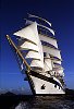 Royal Clipper