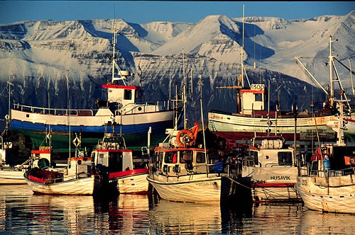 Iceland.Husavik