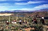 New Mexico: riders on horseback