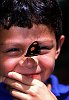 Costa Rica : boy with butterfly