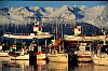 Iceland: fishing fleet