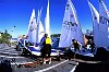 Laser sailors tend to their boats at the Coconut Grove Yacht Club/ Miami Olympic regatta